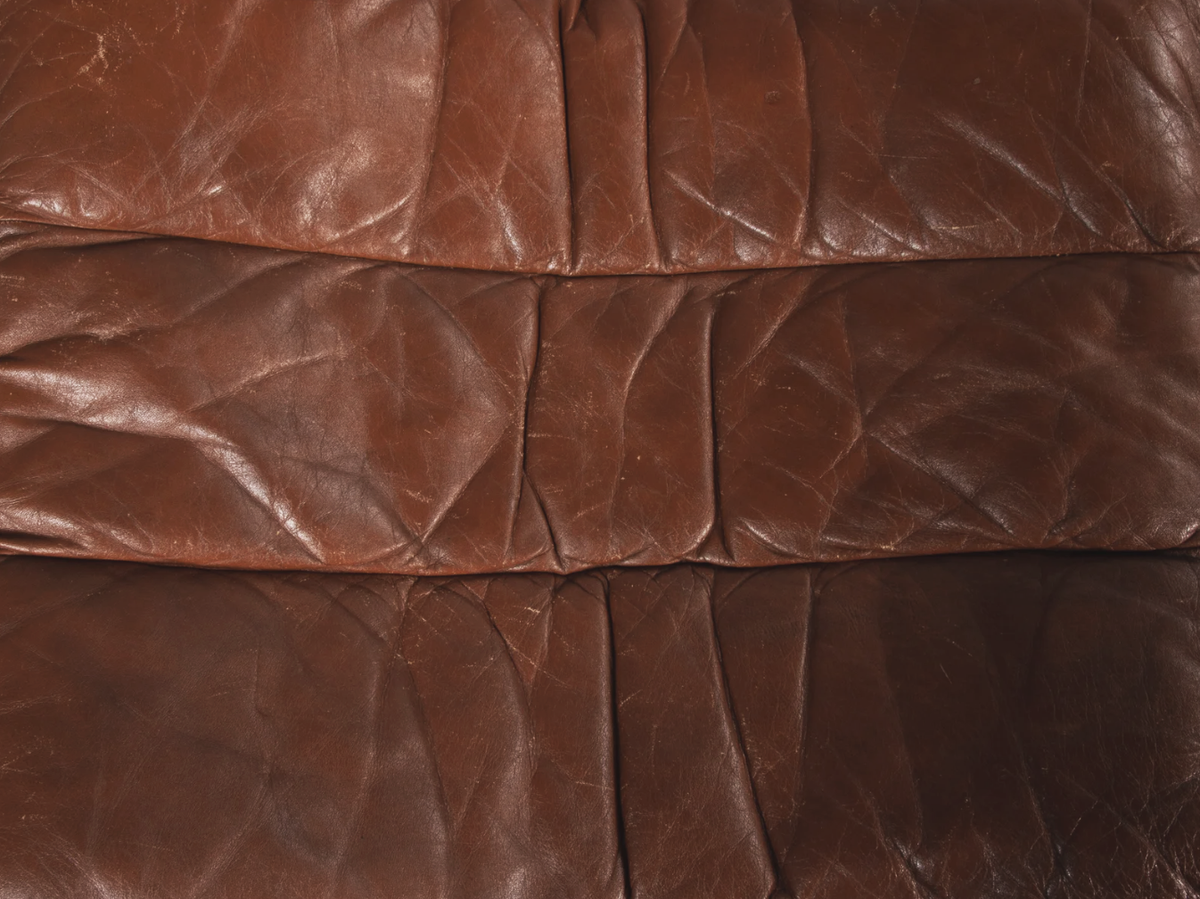 Focus Sling Lounge Chair in Cognac Leather & Bent Plywood by Bramin Møbler, 1970s
